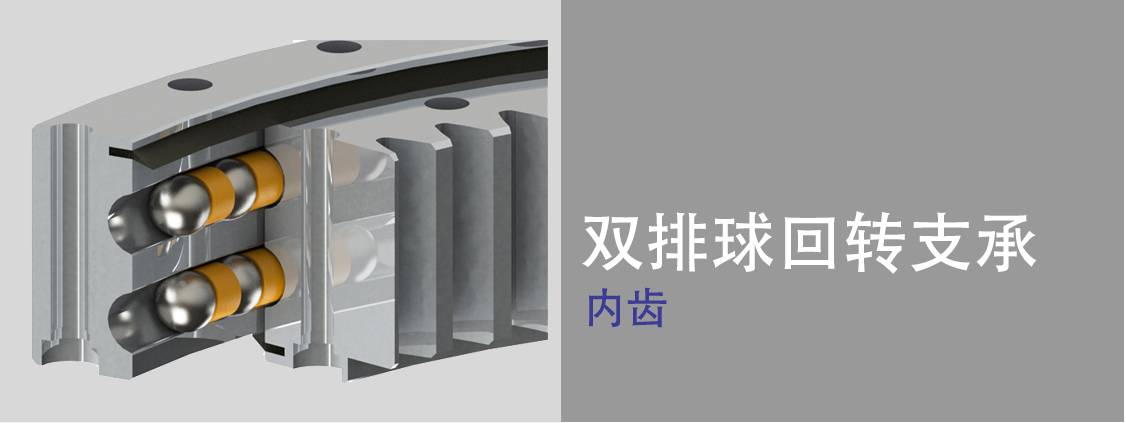 雙排球式回轉(zhuǎn)支承 雙排球式回轉(zhuǎn)支承